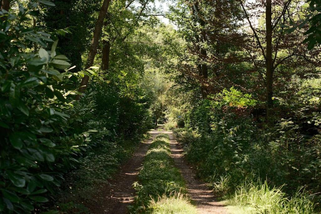 Pinecone Hideaway - In Het Bos Aalter